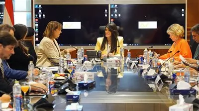 «المشاط»: نعمل على تطوير آليات العمل مع شركاء التنمية لدعم القطاع الخاص