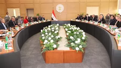 وزير الكهرباء يبحث دعم الشراكة بين مصر والسويد فى مجالات الطاقات المتجددة