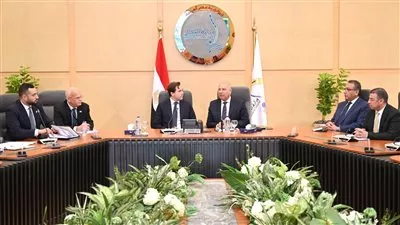 مصر تبحث مع السويد التوسع في توطين صناعات الأتوبيسات الكهربائية