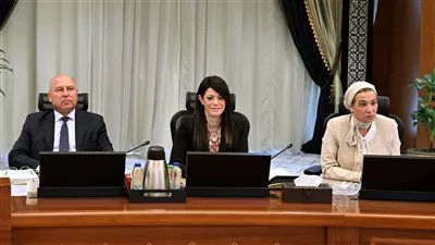 وزيرة التخطيط تستعرض الموقف التنفيذي للبرنامج الوطني للإصلاحات الهيكلية