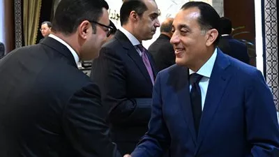 مجلس الوزراء يوافق على تخصيص قطع أراضٍ بنظام البيع بالدولار