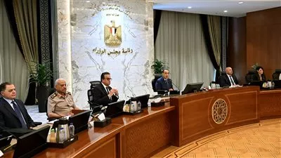 الحكومة تطرح 4 آلاف سيارة تاكسي وربع نقل للشباب بدون جمارك وضرائب