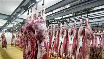 «الزراعة» ترفع درجة الاستعداد القصوى بالمجازر الحكومية لفحص الأضاحي 