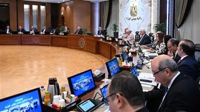 الحكومة توافق على تعريفة التغذية الكهربائية لمشروعات توليد الطاقة بمحطات الصرف الصحي