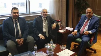 وزير الكهرباء يبحث مع «أميا باور» الإماراتية تعزيز التعاون بمجالات الطاقة المتجددة