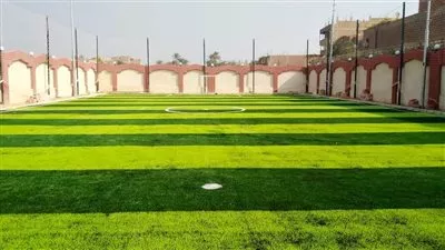 وزارة الشباب توافق على اشهار نادى جامعة بنى سويف للرياضة