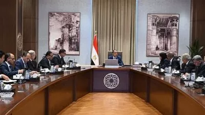 رئيس الوزراء يتابع خطط التوسع في مشروعات تحلية مياه البحر 
