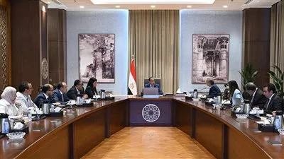 رئيس الوزراء يناقش خطة العمل لإجراء التعداد العام للسكان والإسكان والمنشآت 2027 