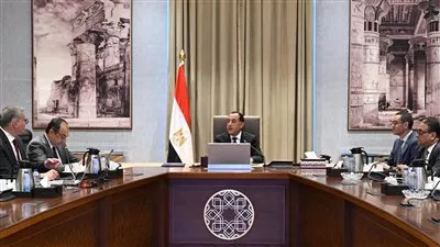 رئيس الوزراء يتابع تنفيذ برنامج الطروحات الحكومية بقطاعي البترول والأعمال العام