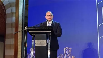 الرقابة المالية: إصدار تنظيم جديد لعمل المنصات الإلكترونية في القطاع العقاري قريبا 