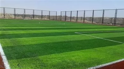 تحويل 13 مركز شباب إلى مراكز تنمية شبابية