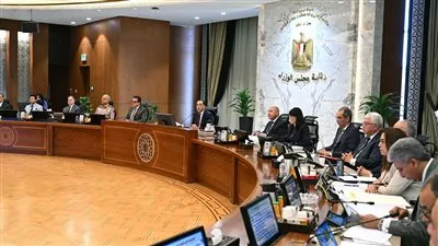 «ستيت جريد» الصينية تنفذ مشروعين للطاقة الشمسية في مصر بقدرة 900 ميجاوات