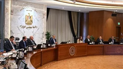 رئيس الوزراء: الجهاز المصرفي يوفر أية اعتمادات مالية مطلوبة لاستيراد السلع