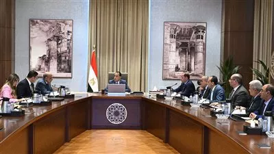 رئيس الوزراء يتابع جهود فض التشابكات المالية بين عدد من الجهات الحكومية