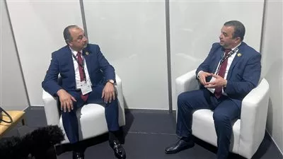 مصر والجزائر تبحثان توسيع آفاق التعاون الاستثماري بقطاعات الطاقة والتعدين والأسمدة