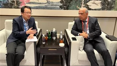 وزير الكهرباء يبحث التعاون مع الشركات الصينية لتوطين الصناعات بمجالات الطاقات المتجددة 