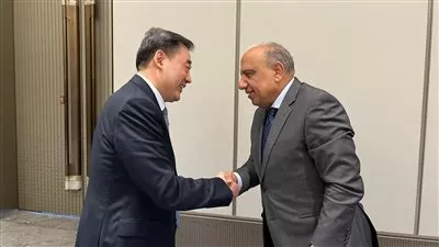 مصر والصين تبحثان تعزيز التعاون بمجالات الكهرباء والطاقة المتجددة