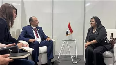 وزير قطاع الأعمال يبحث تعزيز التعاون مع وكالة تنمية الاتحاد الأفريقي «أودا-نيباد»