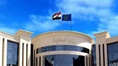 وزارة الداخلية تقرر رد الجنسية المصرية لـ 22 مواطنًا 