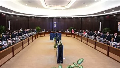 مصر تتعاقد مع عدة شركات لتوريد شحنات من الغاز المسال