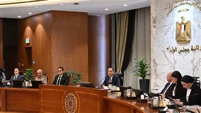 إعادة تخصيص 6 قطع أراضي لصالح جهاز مستقبل مصر