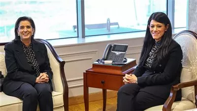 «المشاط» تبحث تعزيز سياسات الصحة في خطة التنمية متوسطة المدى