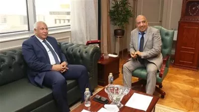 وزير الكهرباء يبحث سبل دعم مشروعات الطاقة المتجددة بمحافظة الوادي الجديد