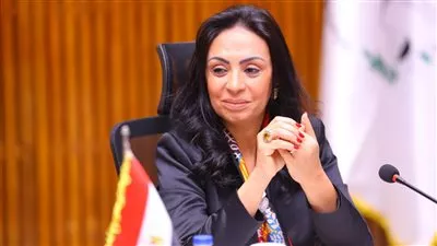 «التضامن» تقر توفيق أوضاع جمعيتين في محافظتى البحيرة وكفر الشيخ