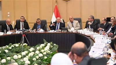 الحكومة تشكل لجنة فنية لإعادة هيكلة صندوق دعم المرافق بالمناطق الصناعية