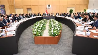 إقامة 3 مصانع بنظام المناطق الحرة الخاصة باستثمارات 216.5 مليون دولار