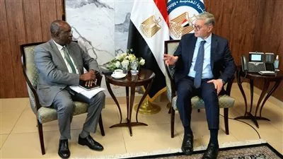 وزير البترول يبحث التعاون مع مؤسسة التمويل الدولية بمشروعات الطاقة والتعدين بمصر