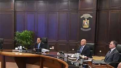 رئيس الوزراء يؤكد موقف مصر الراسخ لدعم القضية الفلسطينية 