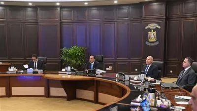 مجلس الوزراء يعتمد أسعار بيع وحدات سكنية بمدينة بورفؤاد