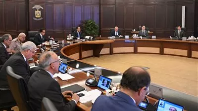 مجلس الوزراء يوافق على إنشاء «اللجنة الدائمة لمتابعة وتحليل المؤشرات الدولية»