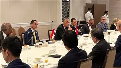 مصر واليابان تبحثان التعاون بمشروعات الطاقة المتجددة وتطویر محطات الریاح والموانئ اللوجستیة