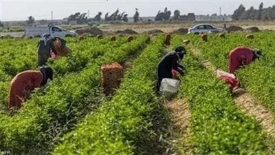 تعديل النظام الداخلي لجمعيتين زراعيتين في كفر الشيخ والبحيرة