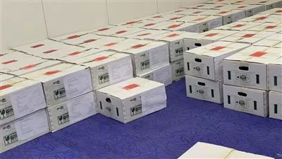 مصر تُصدر أول شحنة تقاوي بطاطس ميني تيوبر إلى أوزبكستان