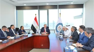 مصر تتعاون مع شركات عالمية ومحلية لتنفيذ مشروع المسح الجوي للمعادن