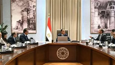 نمو مبيعات الشركات الأجنبية بسوق الدواء المصرية 43% خلال 2024