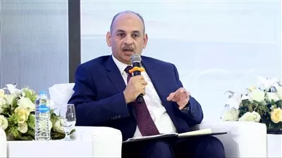 هيئة الاستثمار : 85% من تأسيس الشركات في مصر يتم إلكترونيا