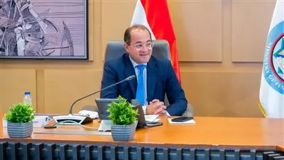 وزير المالية: دعم جهود تمكين القطاع الخاص المصري للتوسع بالأسواق الأفريقية