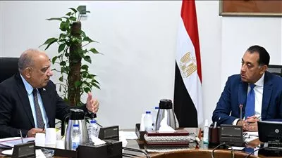 رئيس الوزراء يتابع جهود توفير التغذية الكهربائية لمشروعات التنمية الزراعية بالدلتا الجديدة