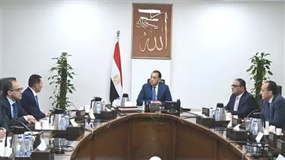 شركة تنمية الريف المصري الجديد تعلن استصلاح وزراعة 440 ألف فدان