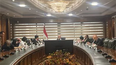 مباحثات مصرية - كورية لتعزيز الشراكة بمجال تطوير وتشغيل المطارات