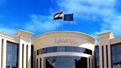 «الداخلية» تقرر السماح لـ 42 مواطنًا مصريًا بالحصول على جنسيات أجنبية 