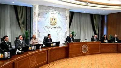 تخصيص أراضي لتطوير وتوسعة وربط ميناء العريش بخط السكك الحديدية