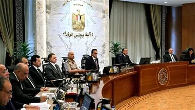 مجلس الوزراء يقر عقوبة الحبس والغرامة لمخالفي قانون الملاحة الداخلية