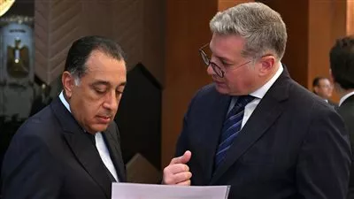 الحكومة توافق على بيع قطعة أرض بالمنوفية إلى شركة بتروجاس