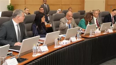 «الأعلى للطاقة» يناقش توفير القدرة الكهربائية لـ14 مشروعًا صناعيًا جديدًا