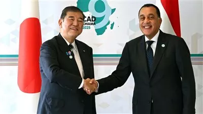 مصر واليابان تبحثان زيادة التعاون فى تطوير الصناعات التكنولوجية المتقدمة